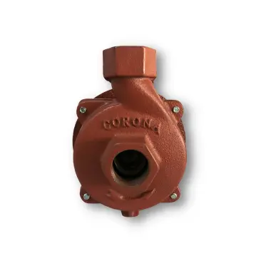 Motobomba centrifuga 1 hp 3